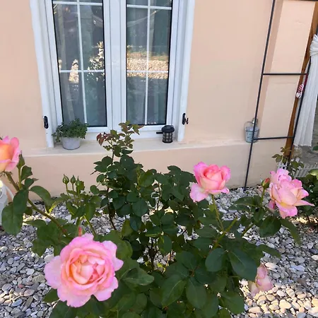 Villa Oasis At Samos Island Naxos City
